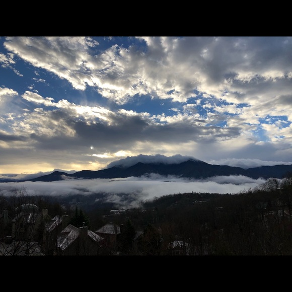 Meet your Posher, Amanda - Picture 1 of 1